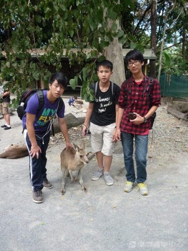 開恩茲英語樂學之旅,學聯遊學團