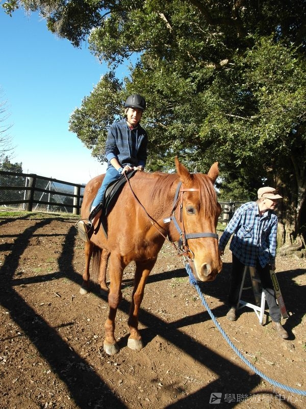 黃金海岸金色遊學假期,學聯遊學團