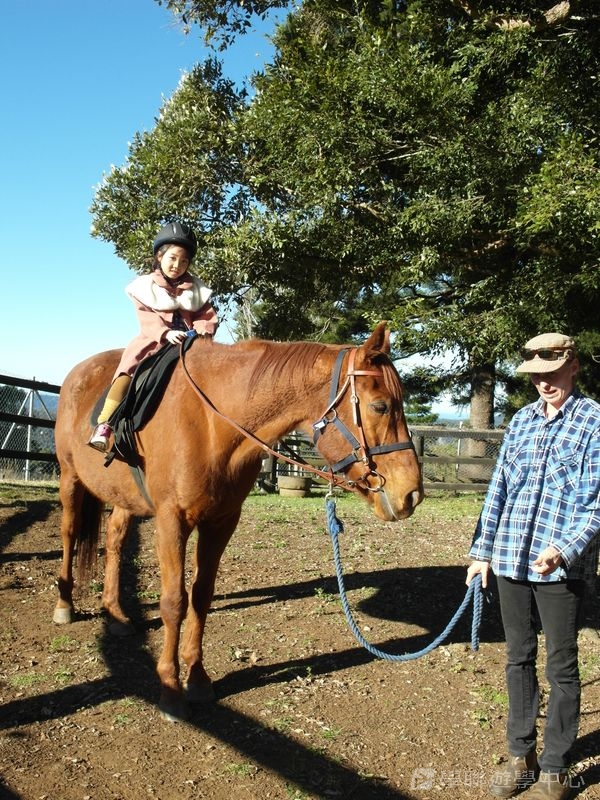 黃金海岸金色遊學假期,學聯遊學團