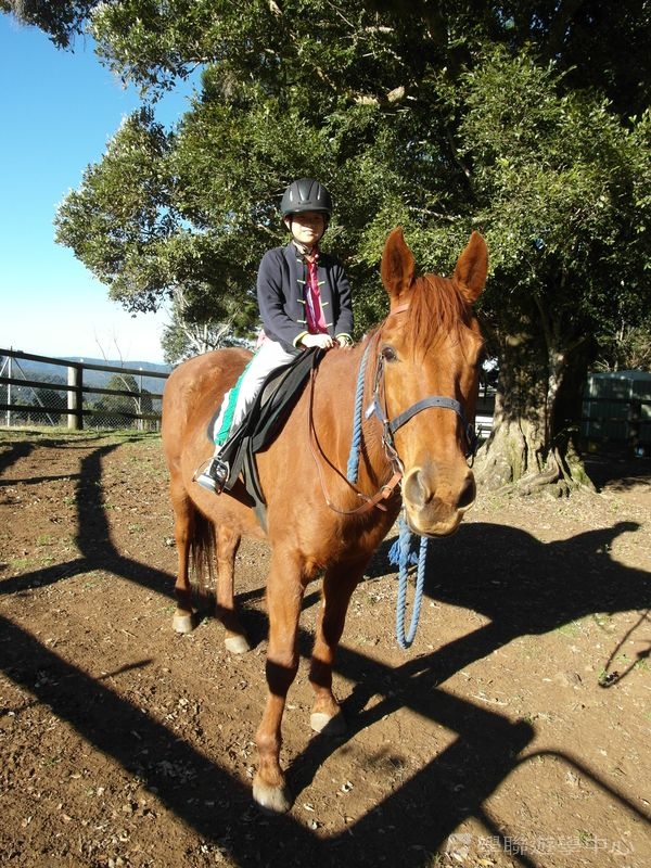 黃金海岸金色遊學假期,學聯遊學團