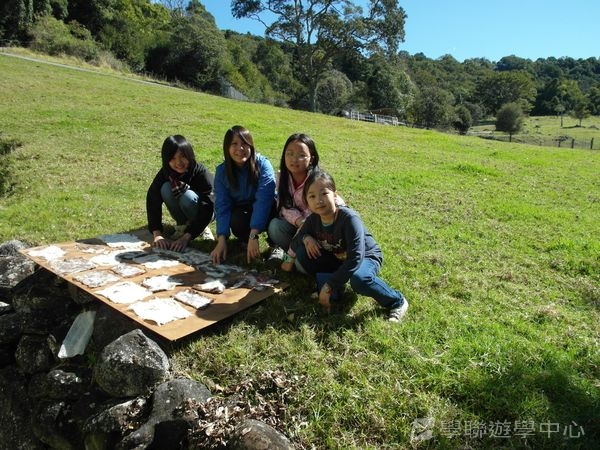 黃金海岸金色遊學假期,學聯遊學團