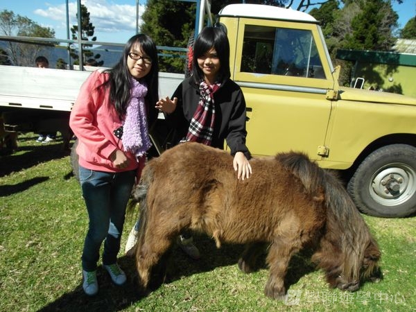 黃金海岸金色遊學假期,學聯遊學團