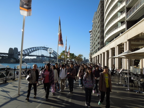悉尼都會文化體驗遊學假期,學聯遊學團