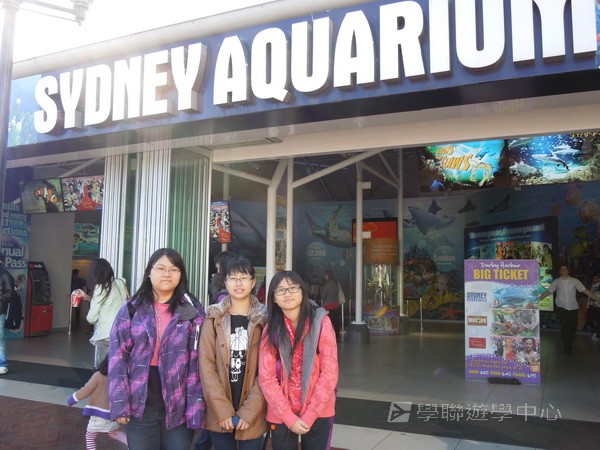 悉尼都會文化體驗遊學假期,學聯遊學團