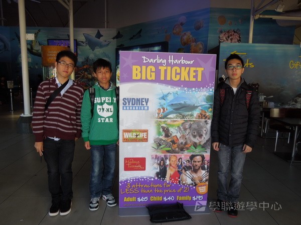 悉尼都會文化體驗遊學假期,學聯遊學團