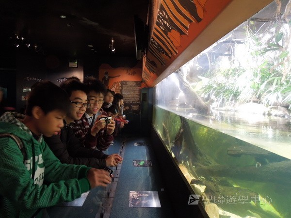 悉尼都會文化體驗遊學假期,學聯遊學團