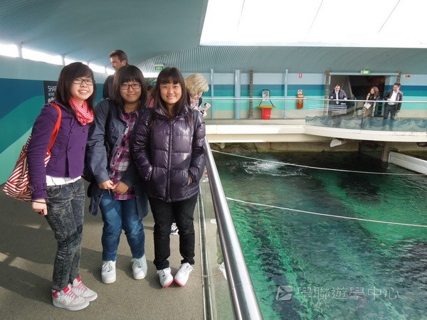 悉尼都會文化體驗遊學假期,學聯遊學團