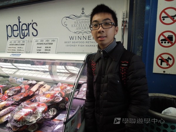 悉尼都會文化體驗遊學假期,學聯遊學團