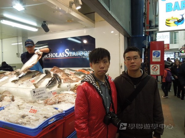 悉尼都會文化體驗遊學假期,學聯遊學團