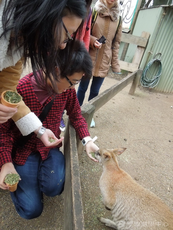 悉尼都會文化體驗遊學假期,學聯遊學團