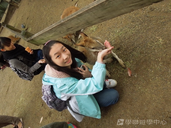 悉尼都會文化體驗遊學假期,學聯遊學團