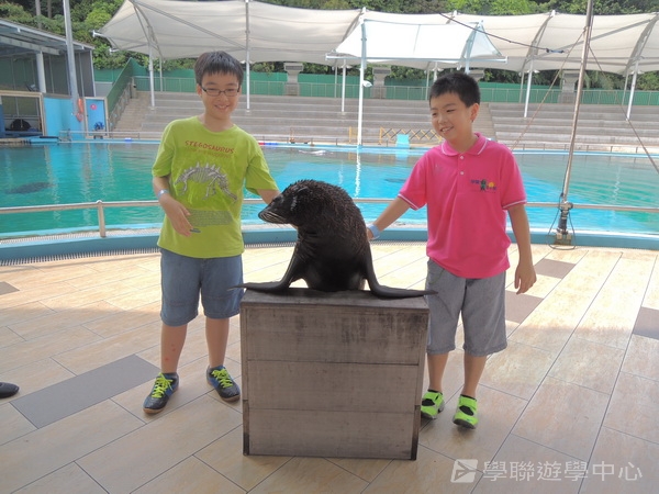 新加坡小領袖訓練學習之旅,學聯遊學團