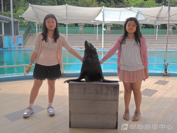 新加坡小領袖訓練學習之旅,學聯遊學團