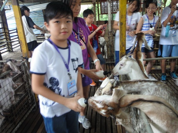 新加坡小領袖訓練學習之旅,學聯遊學團