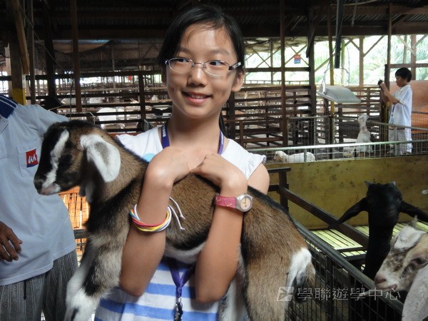 新加坡小領袖訓練學習之旅,學聯遊學團