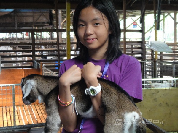 新加坡小領袖訓練學習之旅,學聯遊學團