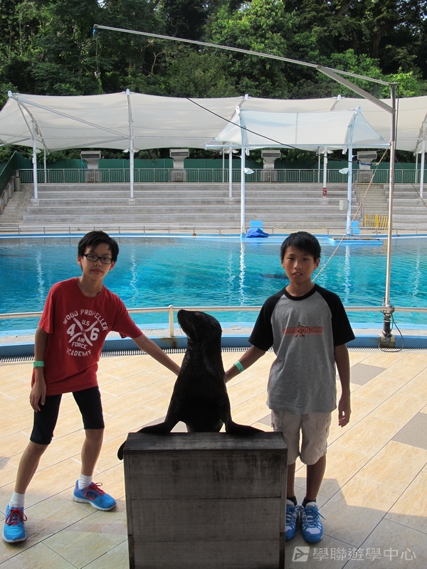 新加坡小領袖訓練學習之旅,學聯遊學團