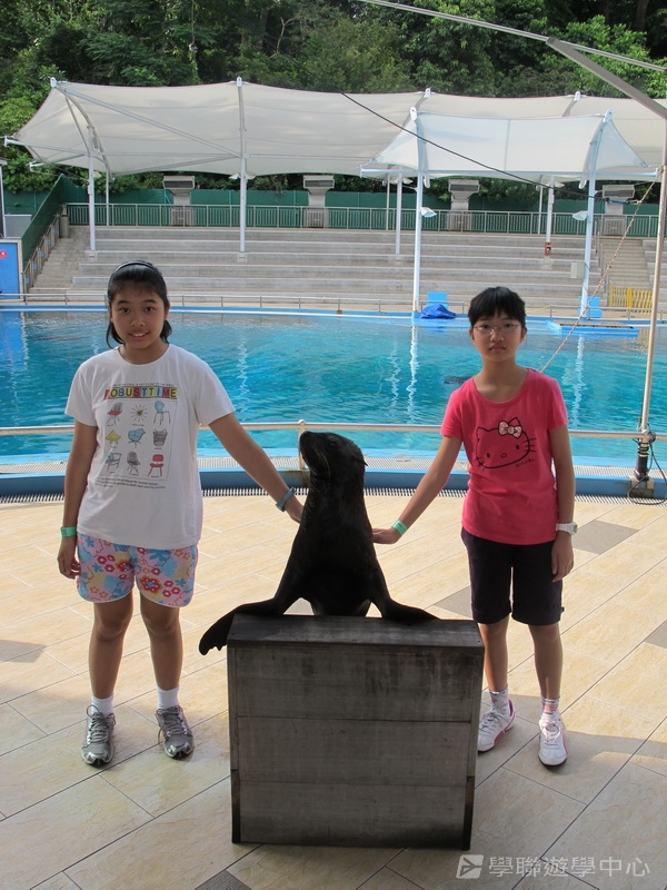 新加坡小領袖訓練學習之旅,學聯遊學團