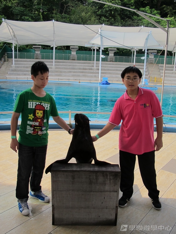 新加坡小領袖訓練學習之旅,學聯遊學團