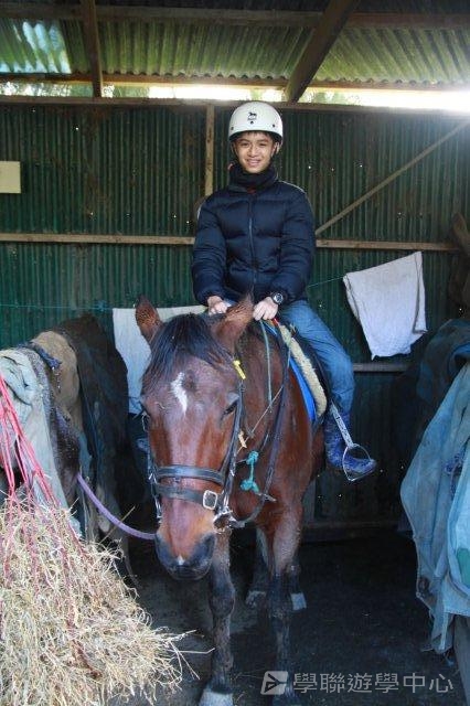 新西蘭農莊體驗之旅,學聯遊學團