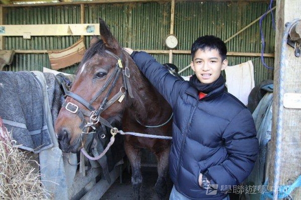 新西蘭農莊體驗之旅,學聯遊學團