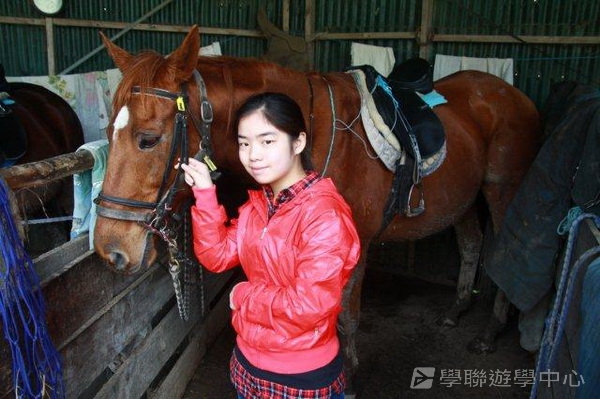 新西蘭農莊體驗之旅,學聯遊學團