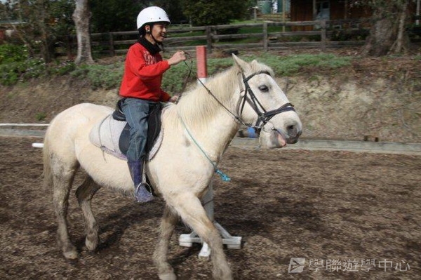 新西蘭農莊體驗之旅,學聯遊學團