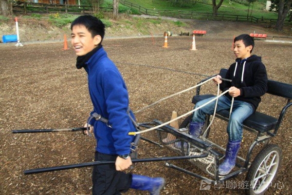 新西蘭農莊體驗之旅,學聯遊學團