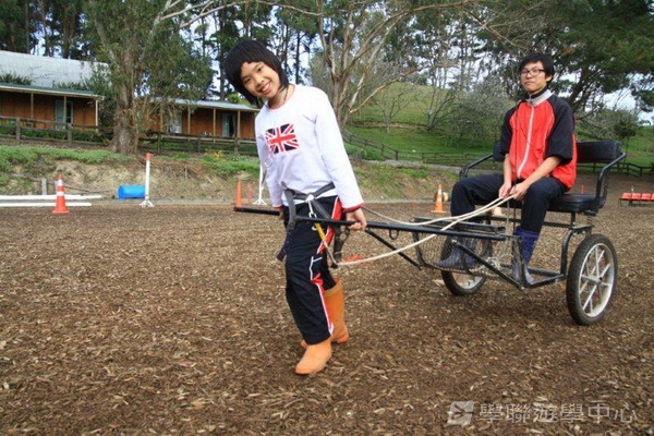 新西蘭農莊體驗之旅,學聯遊學團