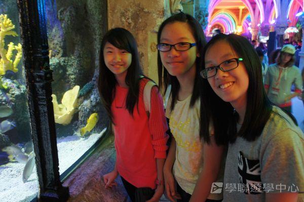 倫敦殿堂學府體驗之旅,學聯遊學團