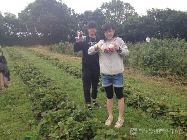 英式生活體驗營,學聯遊學團
