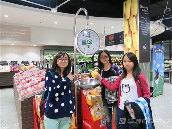 澳洲東岸體驗假期 ,學聯遊學團