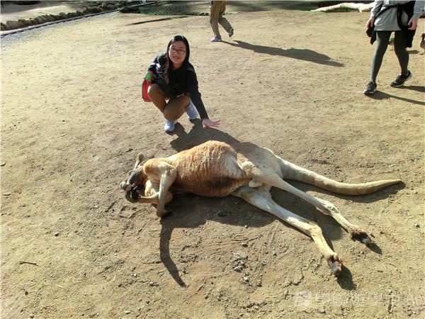 黃金海岸金色遊學假期,學聯遊學團
