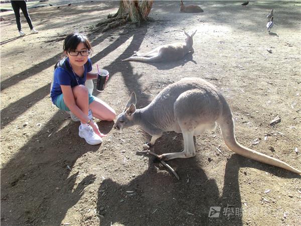 黃金海岸金色遊學假期,學聯遊學團