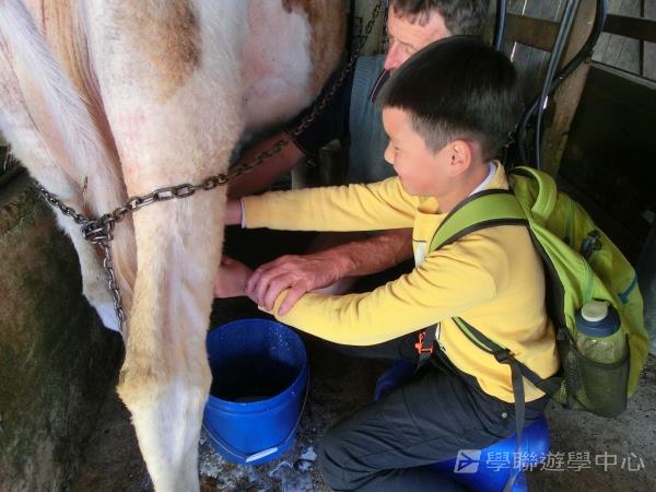 黃金海岸金色遊學假期,學聯遊學團