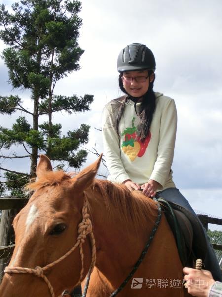 黃金海岸金色遊學假期,學聯遊學團