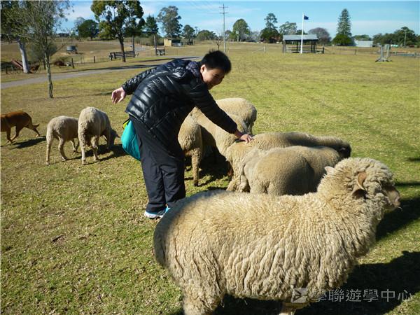 悉尼都會文化體驗遊學假期,學聯遊學團