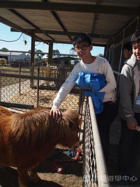 結伴同行遊學假期,學聯遊學團