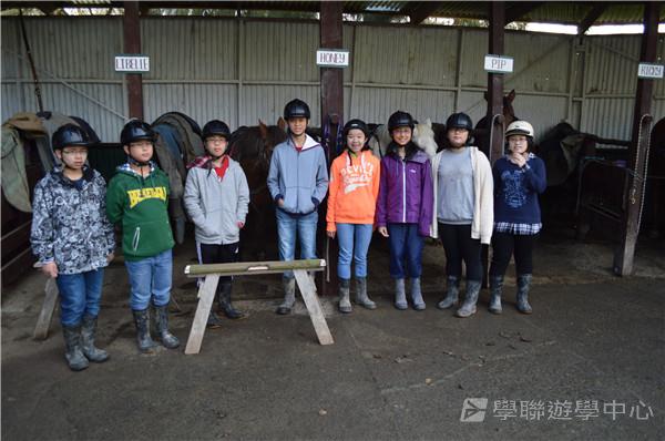 新西蘭農莊體驗之旅,學聯遊學團