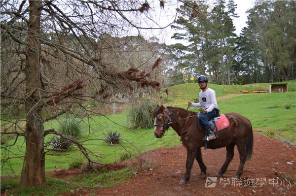新西蘭農莊體驗之旅,學聯遊學團
