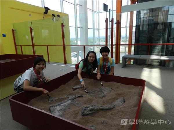 耶魯大學名校文化探索營,學聯遊學團