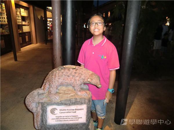 新加坡通識訓練學習之旅,學聯遊學團