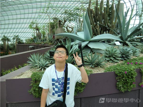 新加坡通識訓練學習之旅,學聯遊學團