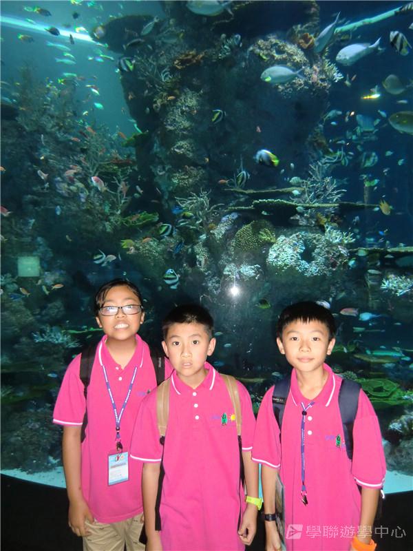 新加坡通識訓練學習之旅,學聯遊學團