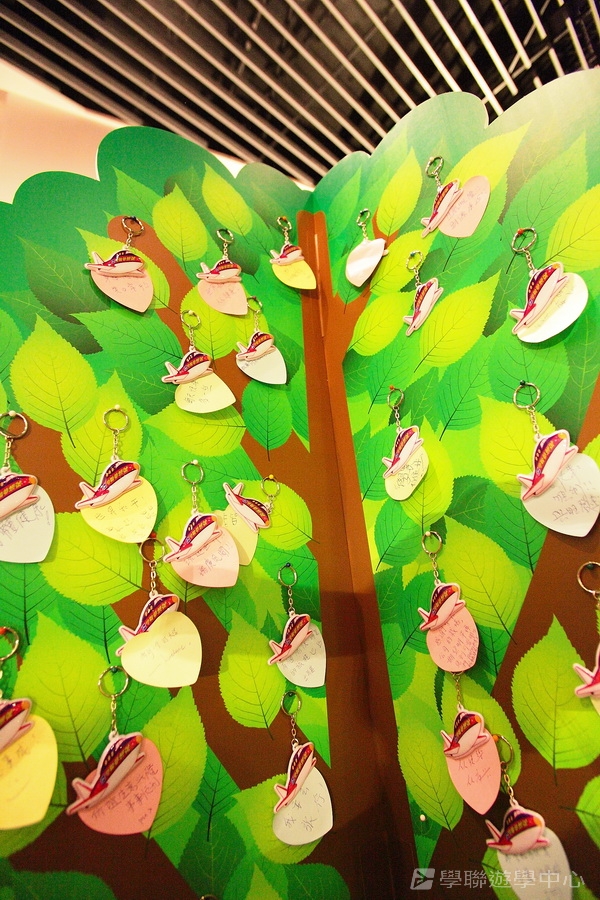 重聚Free派對實況,學聯遊學團