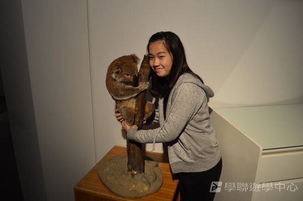 悉尼都會文化體驗遊學假期,學聯遊學團