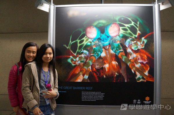 澳洲東岸體驗假期,學聯遊學團