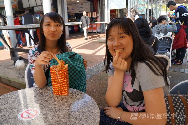 澳洲東岸體驗假期,學聯遊學團