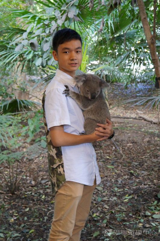澳洲東岸體驗假期,學聯遊學團