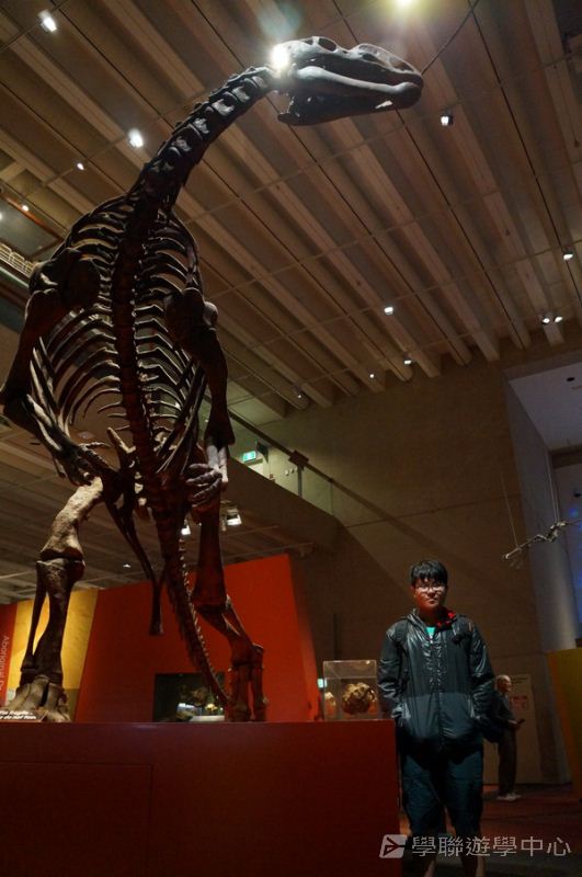 澳洲東岸體驗假期,學聯遊學團